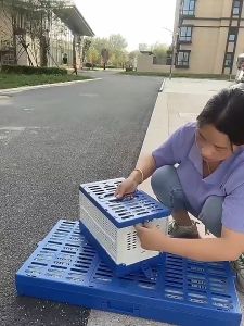 ABS Taiwan Pigeon Training Box Small Foldable Plastic Pigeon Training TBox Cage 37x24x22cm