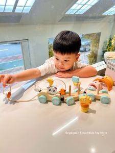 Eco-friendly Wooden Educational Walker Train Panda Animal Rainbow Building Block Matching Set