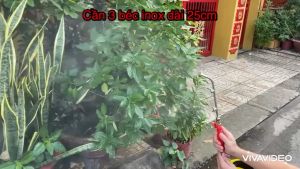 Béc 3 đầu răng thau phun tưới cây tưới lan chuyên dùng cho nhà làm vườn