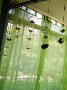 Creative Hanging Hanging Transparent Glass Vase Micro Landscape Flower Pot Crafts Candlestick Home Wedding Decoration Hanging Ball