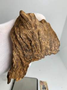西马野生老沉香9.5分沉 （老沉香） Wild Agarwood