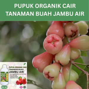 Pupuk Buah Jambu Air 500 ML /Pupuk Booster Jambu Air Cepat Berbuah Lebat/Pupuk Cair Jambu Air