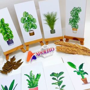 HIASAN DINDING DAUN MONSTERA MINIMALIS APOLITO (10X20 CM) - Wall Decor Premium Tebal 6mm - MDF Board - Tahan Air - Mudah Pemasangan - Bergaransi