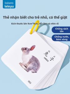 LELEYU | Early Education Picture Recognition Cards