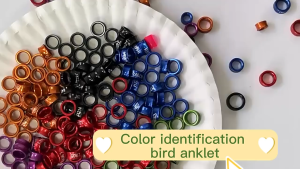 ห่วงนก ห่วงขานกหัวจุก ห่วงนกฟอพัส ห่วงนกแก้ว อลูมิเนียม แหวนขาไก่ นกแก้ว ของเล่นนกแก้ว