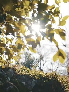 Under-Sink Organizer Pull Out Type Dish Drying Holders With Movable Single Layer Space Saving