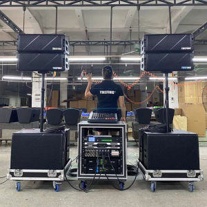 Double 8-Inch Active Miniature Line Array 4 plus 2 Humpback Magnetic High-Pitched Outdoor Mobile Performance Waterproof Built-In Frequency Divergence