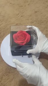 [gift set for women] Rose with Gold neckleace gift box drawer perfect gift for love one