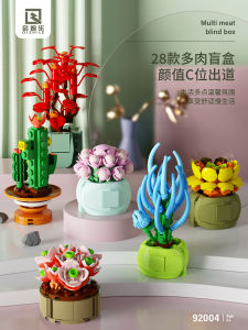 Qizhile Succulent Building Blocks Flower Plant Assemble Toy Healing Pot Creative Ornaments for Girls Gift for Girlfriend