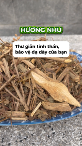 [Hàng loại 1] Cây hương nhu khô 1kg - Thảo Dược Tấn Phát - chuyên dùng để pha trà và hỗ trợ thanh nhiệt và giải độc