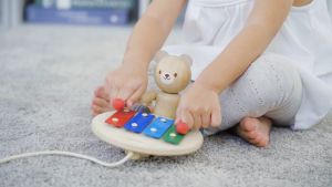 Pull Along Musical Bear