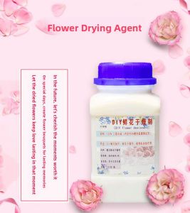 Crystal DIY Flower Dry Flower Preservative Amber Insect Specimen Resin Making Materials Reusable Craft Glue Art Supplies