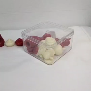 หมากรุกไทย พร้อม ตารางหมากรุก และกล่องพาสติกใส เกมส์หมากรุก หมากรุก