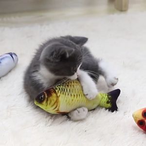 Cat Fish Toy / Mainan Kucing Ikan 3D Pet Toy Artificial Fake Fish Plush Pillow Catnip Doll Simulation Bantal Ikan 宠物玩具