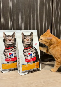 [Bundle Of 4] Hills Science Diet Adult Urinary Hairball Control Chicken & Rice Recipe Cat Food 1.58kg