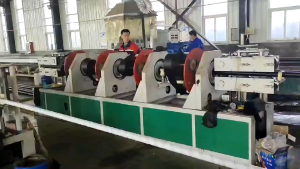 Twin Welding Hose with Coupling Oxygen Acetylene (1/4") x 20ft 【24 hours delivery】