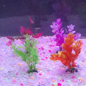 Rennas Aquarium Decor Fish Tank Decor Plastic Fake Flower Fish Decor Seaweed Betta Fish Accessories