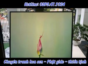 Bức tranh búp sen lá sen phong thủy siêu đẹp độc bản tại shop chất liệu vải Canvas nhập khẩu có khung và ghim treo tranh