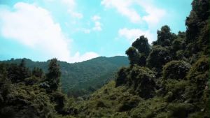 Arctic Hunter K00528 Tas Selempang Sling Messenger Bag Pria Ringan