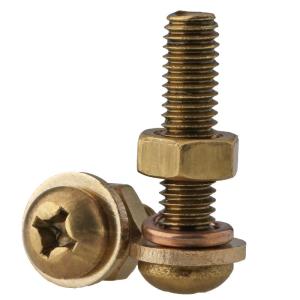 BAIRUITE | Copper Cross Head Screws and Nuts Set with Washers and Accessories