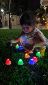 ไฟปักสนามโซล่าเซลล์ รูปเห็ด