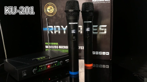 RAYHAYES Dual Channel Wireless Microphone for Karaoke Performance -Classic style with extremely stable signal