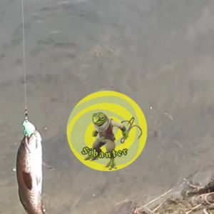 soft frog umpan casting 10 PCS umpan gabus 10 pcs