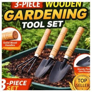 Garden Plant Tools Gardening Tool Mini Size (Spade Shovel Rake) Set of 3
