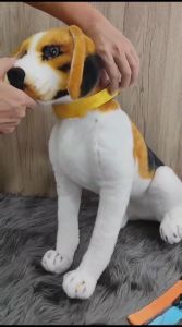Dog Cat Pet Collar Nylon LED Ryuyu Tali Hewan Kalung Anjing Kucing