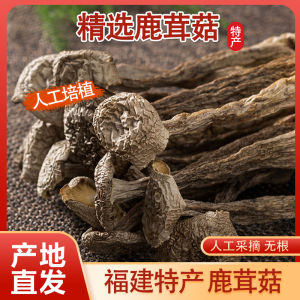 Deerhorn Dried Mushroom Crisp Mushroom Fresh Antler Mushroom Fujian Farm Coral Mushroom Mushroom Soup Ingredients Agricultural Products