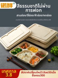 NUOXIAN | Biodegradable Pulp Meal Box