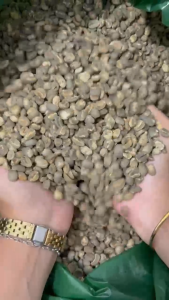 Green Bean Arabika Gayo - Grade 1 - Semiwashed Processed - 1 kg