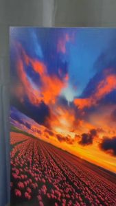 HIMALAYA 35*50cm Bedroom Dining Room Living Room Office Hotel NATURE Paintings DESIGN