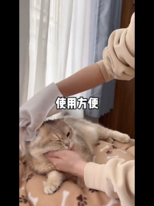 🇸🇬 Ready Stock Pet Wash-free Cleaning Gloves Dog Bath Deodorizing Cat Puppies Kitten Dry Cleaning Cleaning Wipes Supplies