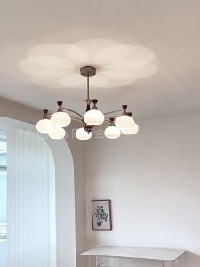 FANCY LAMP CLUB | Eye-Protecting Full-Spectrum Vintage Style Persimmon Pendant Light