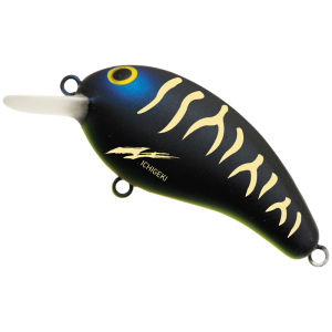 Daiwa | Topwater Fishing Lure