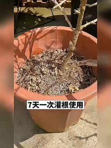 Baja Bunga & Buah Potassium Dihydrogen Phosphate Flowering Booster Serbuk Subur Galak Bunga Untuk Semua Pokok