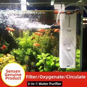 DONGZHIHUI | Filtering Oxygenating Water Circulation System Internal Quiet