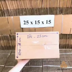 Combo 10 hộp carton đóng hàng 25x15x15 size lớn đựng giày dép phụ kiện đồ gia dụng giá rẻ - Hộp Carton HT