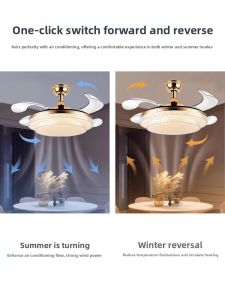 Chigo | Modern Simple Home Ceiling Fan Light