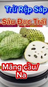 [ Rệp sáp mãng cầu ] Bộ đôi Rệp sáp 1102 Akulagold + Tê giá diệt s.âu tiêu diệt gọn rệp sáp cứng đầu sâu đục trái trên mãng cầu