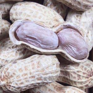 Various Flavors Roasted Peanuts