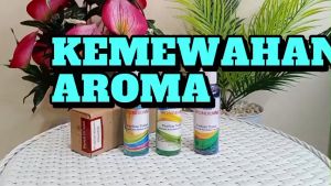 PARFUM TOILET FORMULA ANTI BAKTERY DAN VIRUS SPRAY 100ML/PARFUM KAMAR MANDI /PENGAHRUM KAMAR MANDI RUMAH