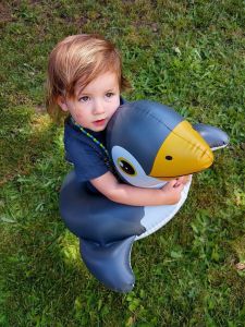 Găng Tay Bơi Trẻ Em Hình Chú Penguin Nhỏ Đồ Chơi Bơi Lội Cho Trẻ Em Từ 2-5-8 Tuổi Vòng Bơi Hoạt Hình Dễ Thương Vòng Bơi Cho Trẻ Em