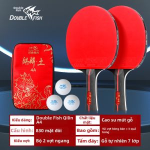 Double Fish | Vợt Bóng Bàn Sẵn Sàng Cho Người Mới Bắt Đầu Chuyên Nghiệp