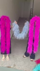 2M Natural Ostrich Feather Boa 3-20Ply Soft Fluffy Feather Scarf for Bride Wedding Accessory Photo Prop Burlesque Costume Decor