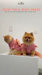 Jesse Tee dan Jessy Dress - Baju Kucing dan Baju Anjing POMAPOO Premium Berkualitas