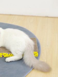 Hanpet - Cào móng mèo giấy bàn cào móng cho mèo 5 loại chống mèo cào sô pha và mèo phá đồ đạc