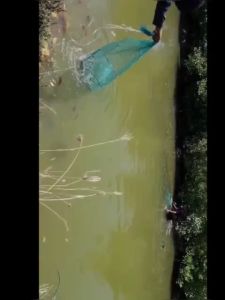 jaring jala bubu naga 10 meter perangkap udang ikan rajungan keoiting menjanjikan