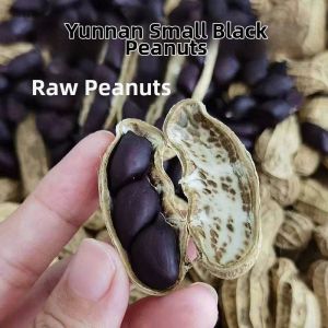 Gastric Health Selenium-rich Black Peanuts in Shell